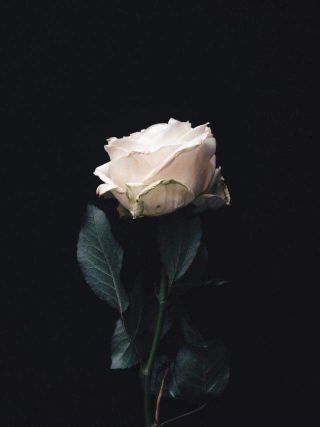 insider009's profile picture. Luahan jiwa.