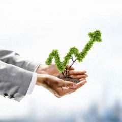 Market commentary and insights. Trend Following Trader. #stocks #stockmarket #trading