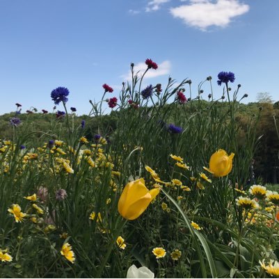 galaxia0345's profile picture. 