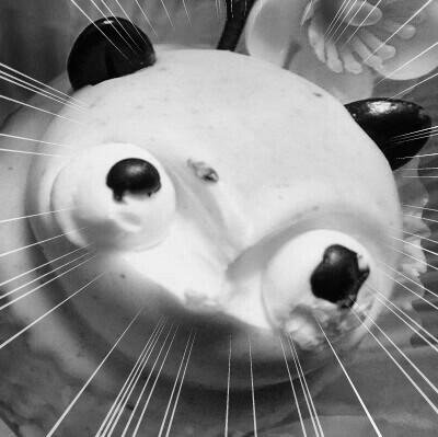 堕ちろ…さんのプロフィール画像