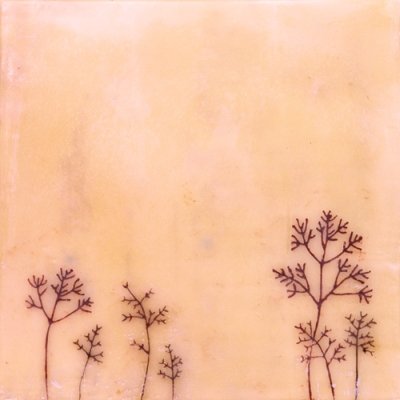 pausalband's profile picture. audio and visual art project of simon bainton and alex smalley