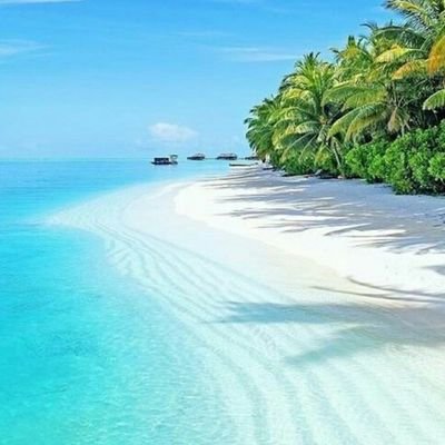 fadd707's profile picture. ‏