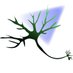 The Calipari Lab (@thecaliparilab) Twitter profile photo The Calipari Lab (@thecaliparilab) Twitter profile photo
