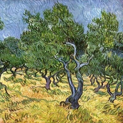 aotutuncu's profile picture. 