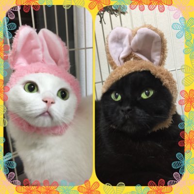 mica_263's profile picture. 