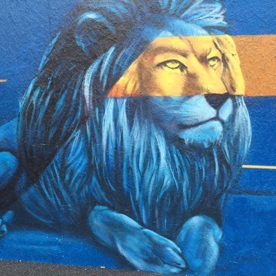 HelioDrazz's profile picture. 