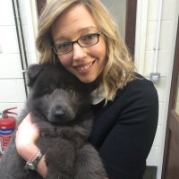 Helen Astle (@helenastle_news) 's Twitter Profile