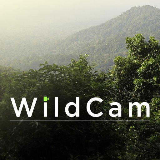 WildCam Gorongosa and WildCam Darién are citizen science websites where you help identify animals in trail camera images taken in Mozambique and in Panama.