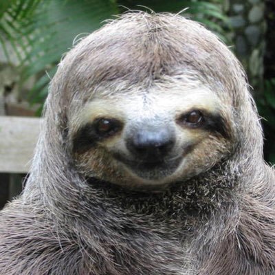 WrestlingFan_AJ's profile picture. Aj styles is phenomenal!