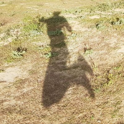 silvialopt's profile picture. 