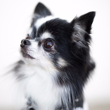 kaseidegenki's profile picture. 活力を失った日本　管理され　無意識に自分の思いを失くしていく
何かの役に立ちたいとはじめた事柄を応援してくれることのない社会
どんなことでも　それぞれが　自分の価値を　自分で感じ　それぞれの
思いを　勝手に温めて欲しい