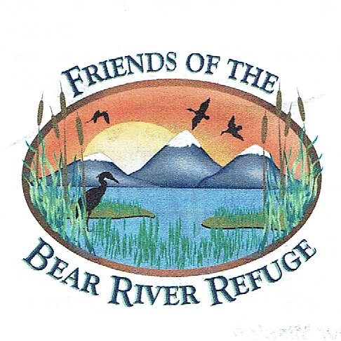 We are devoted to the promotion, appreciation, and conservation of the wildlife, birds, and habitat of the Bear River Migratory Bird Refuge