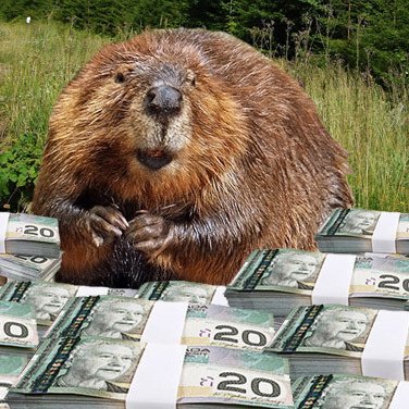 Alexltdd's profile picture. There is no prophecy, only analysis. . . . . . 1ME95GBNkp17RRWhMNMZiYtsoNrsXCEPgu (BTC)