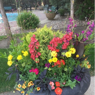 justbme29's profile picture. Special needs educational