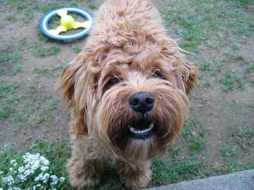 SurfQuest's profile picture. Helping you find what you are looking for...