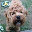 Mike Boyce - @SurfQuest - Twitter