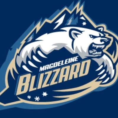 fans des canadiens de montréal et maniaque d'hockey:) Préposé à l'équipement du Blizzard de la Magdeleine(Juvénile div.1 et div.2)