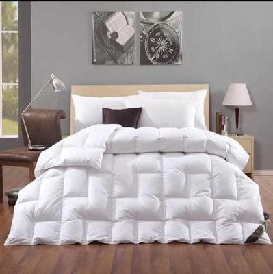 Down/Silk duvet, pillow, mattress pad, waterproof protector, comforter set and sheet sets manufacturer. leoliu@everichome.com