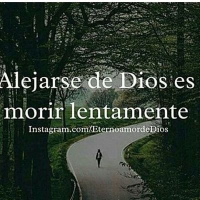 RcMarynes's profile picture. ;》Ich bin Flugbegleiterin^-^ ♡