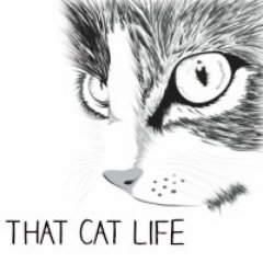 ThatCatLifeTho Profile Picture