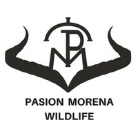 PasiónMorenaWildlife(@PasionMorenaWil) 's Twitter Profile Photo