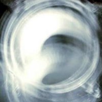 Realscotbeat (@realscotbeat) 's Twitter Profile
