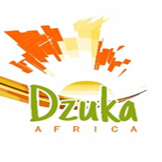 We are Dzuka Africa Organization, NGO based in Blantyre,Malawi focusing on youth and women empowerment through internship, social and entrepreneurship programs.