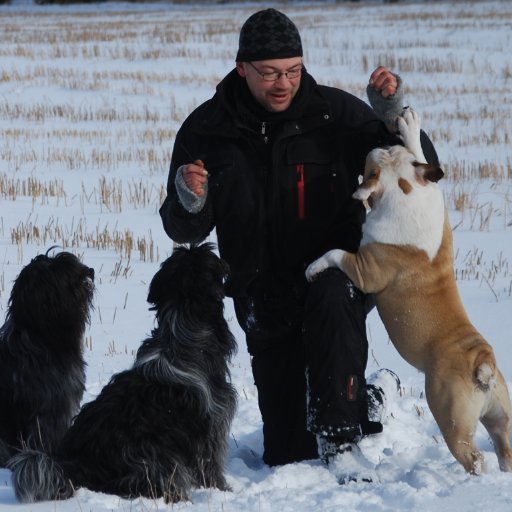 Pre DOS computer geek,into forensics.
Using spare time practicing dogs to SAR-duty, ,Beekeeper,Radioamateur OH0EYO.