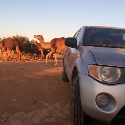 OsamaAlarby2's profile picture. العربي