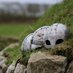 Moorforge (@moorforgeviking) Twitter profile photo Moorforge (@moorforgeviking) Twitter profile photo