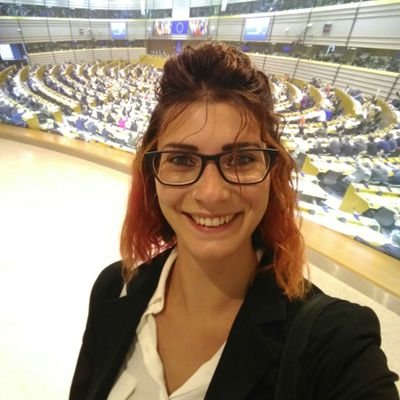 Cooperation, Development and Innovation in the global economy student's.

Social Media Manager of @MoniTOcamera civic monitoring project