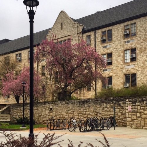 Welcome to the official Kansas State University Department of Art Twitter account! Social media user policy: https://t.co/zTz0tYqVRn