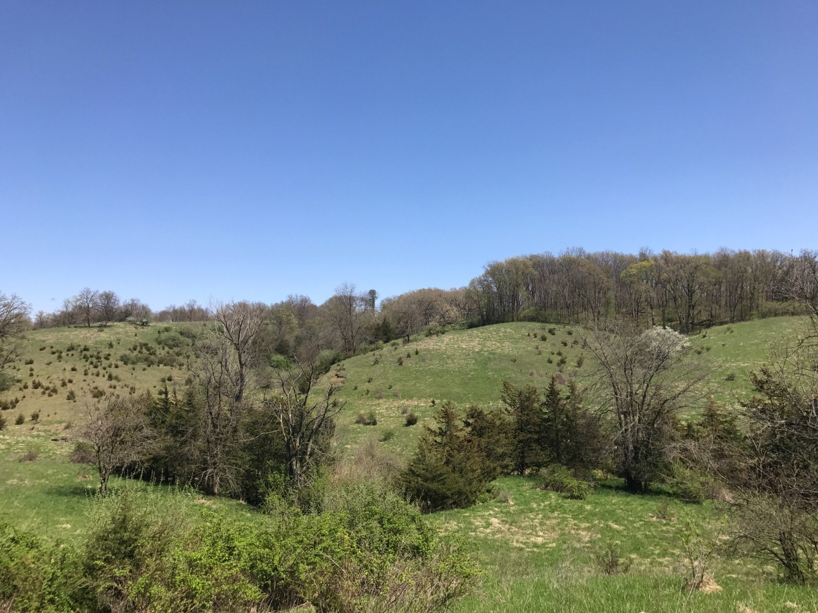 Curtbot's profile picture. role player