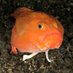 Pascale Moehrle (@oceana_pascale) Twitter profile photo Pascale Moehrle (@oceana_pascale) Twitter profile photo