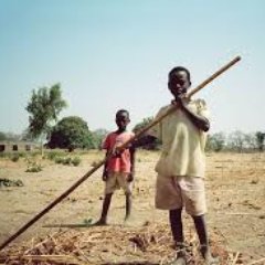 abdoubaldeh71's profile picture. 