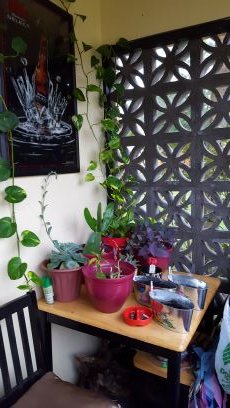 ThurowKathleen's profile picture. 