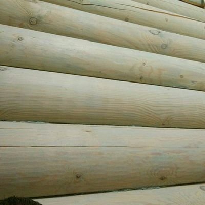 VladislavAzarov's profile picture. 