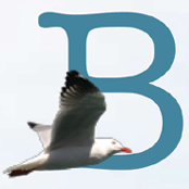 TheBeastMag's profile picture. The Monthly Magazine For Sydney's Beaches And Bays Of The East