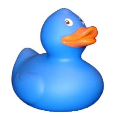 BlueDuckCampers's profile picture. LUXURY MOTORHOME HIRE - We are a family firm who pride ourselves on excellent customer service and making adventures happen - contact us today to book your trip