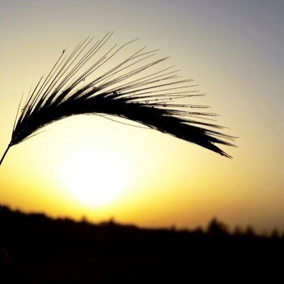 kk_9766's profile picture. 