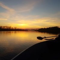 Elklakewilderness (@elklakewild) 's Twitter Profile
