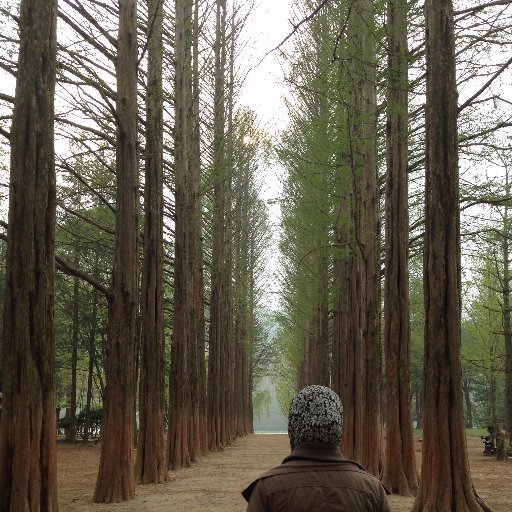 shimamdnor's profile picture. 