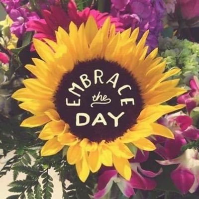 jeaninelbeck's profile picture. 