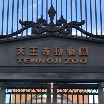 天王寺動物園好きな人さんのプロフィール画像