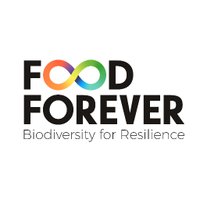Food Forever (@foodforever2020) 's Twitter Profile
