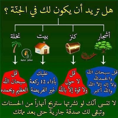 iikkkd's profile picture. 