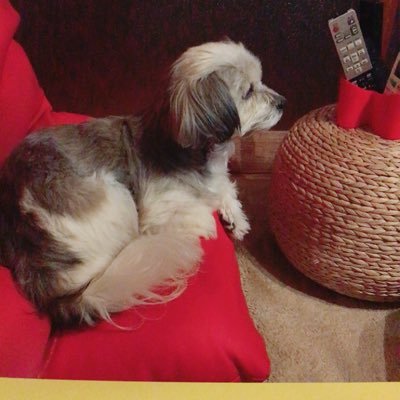 ryu19077421's profile picture. 宮崎