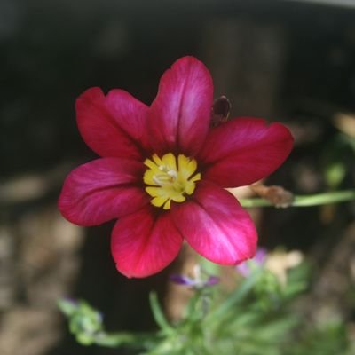 Elsa_M18's profile picture. 