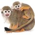 Maxine Bradley Art (@zookeeperart) Twitter profile photo Maxine Bradley Art (@zookeeperart) Twitter profile photo