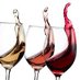 Wine Festival AU (@winefestivalau) Twitter profile photo Wine Festival AU (@winefestivalau) Twitter profile photo